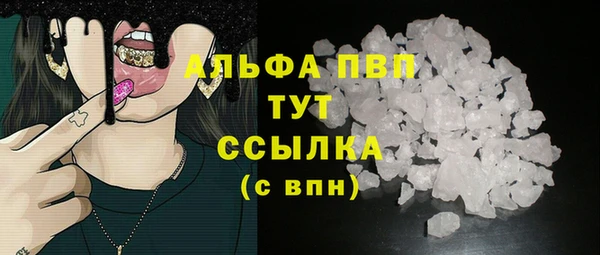 прущие грибы Осинники