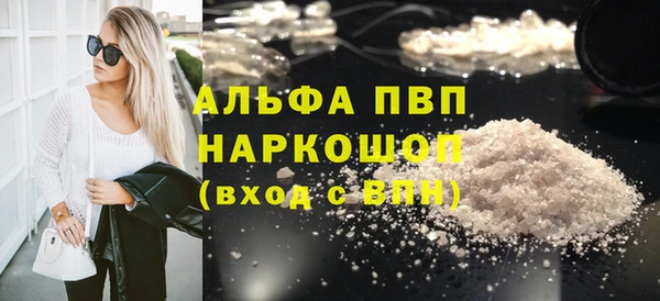 прущие грибы Осинники