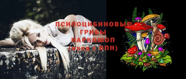 ALPHA PVP Остров
