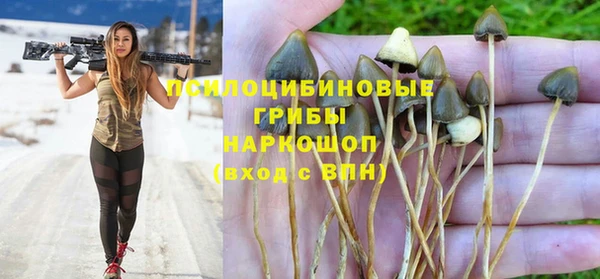 ГАЛЛЮЦИНОГЕННЫЕ ГРИБЫ Бутурлиновка