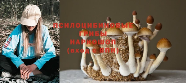 прущие грибы Осинники