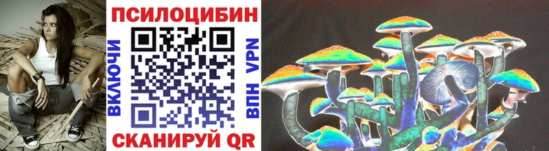 где купить   Костомукша  Галлюциногенные грибы Magic Shrooms 