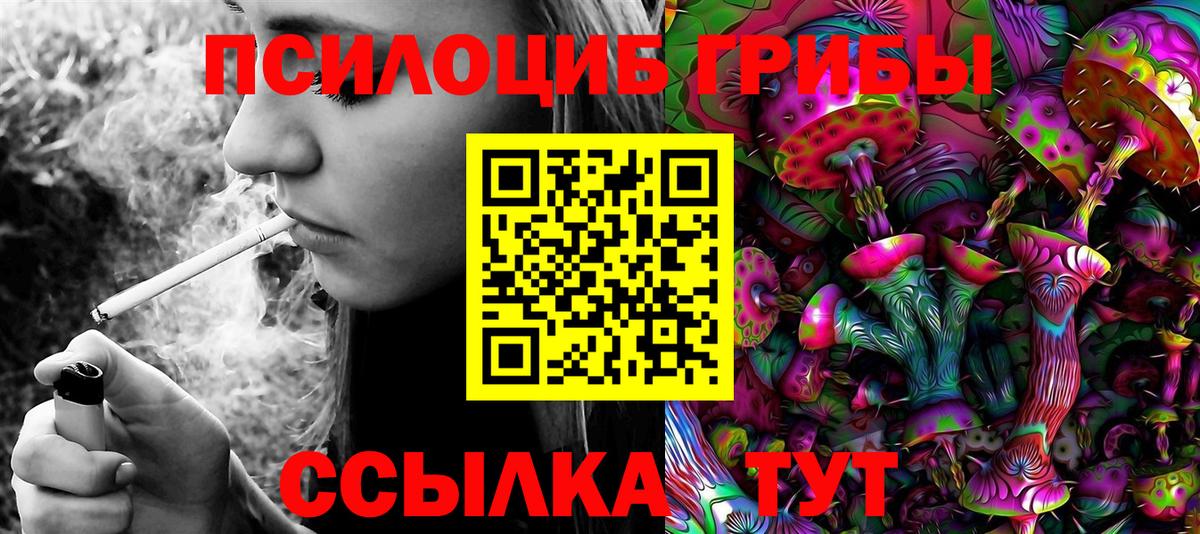 Псилоцибиновые грибы Psilocybe  Вход с VPN  Костомукша  Псилоцибиновые грибы Cubensis 