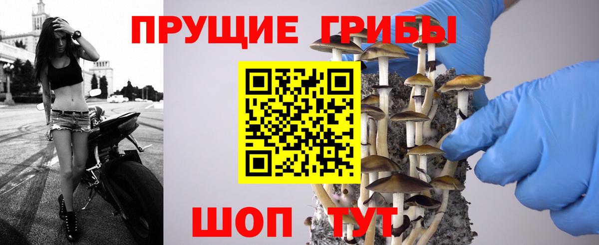 Галлюциногенные грибы Cubensis Костомукша